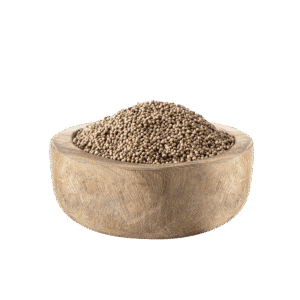 Coriander seeds 100 g